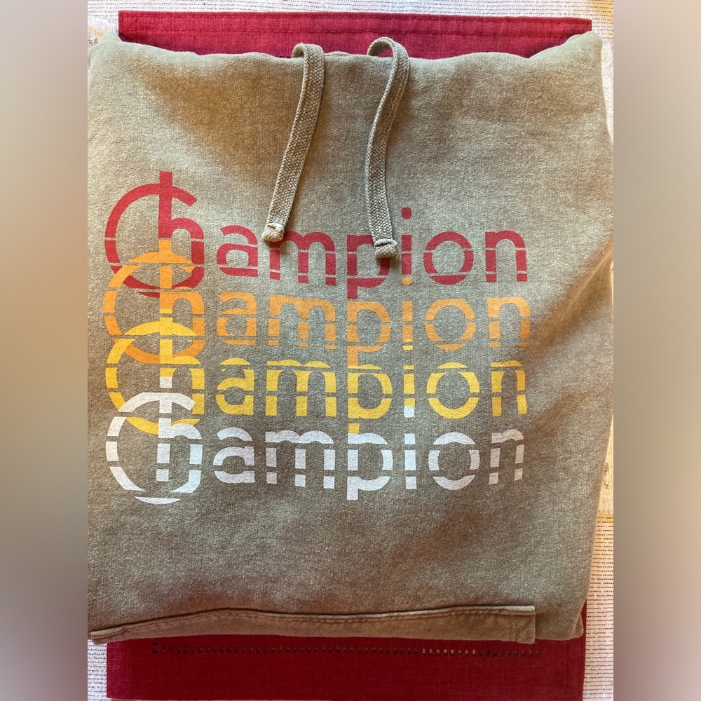 Champion Hoodie. Size M NWT.